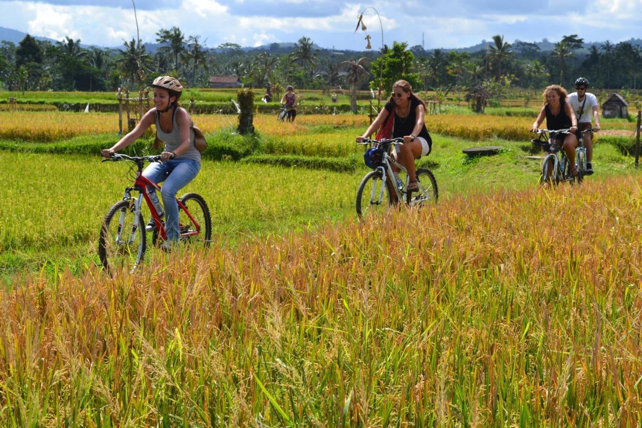 Bali Culture Guesthouse Ubud Buitenkant foto